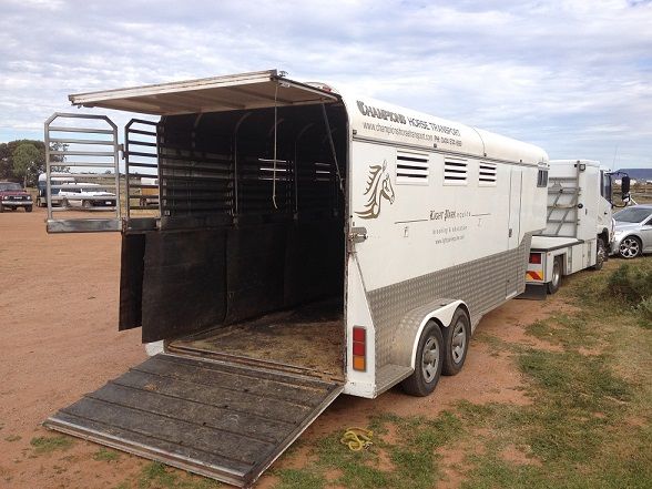 Custom 5 Horse Goose-neck Float Horse Transport for sale SA