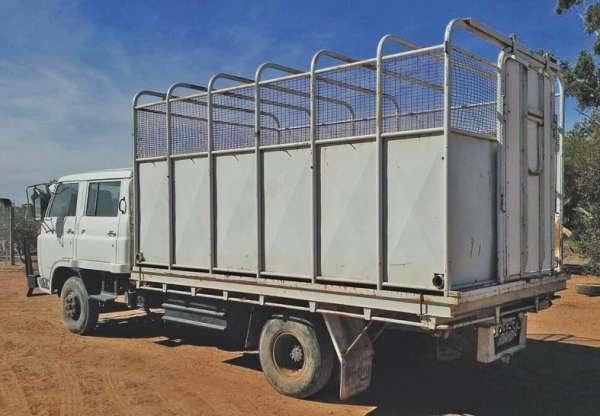 Isuzu Dual Cab 5 Horse Truck Transport for sale Vic 