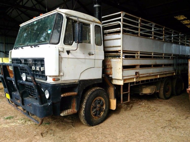 Double Deck Stock Crate - Daf 2800 ATI 6 Wheeler Truck for sale WA