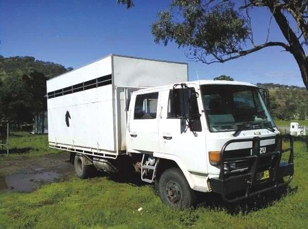 Horse Transport 1986 Isuzu FSR 500 5 Horse Truck for sale NSW