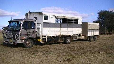 10 foot Bogie Axle Trailer 7 horse Nissan UD Horse Truck Horse Transport sale sale QLD