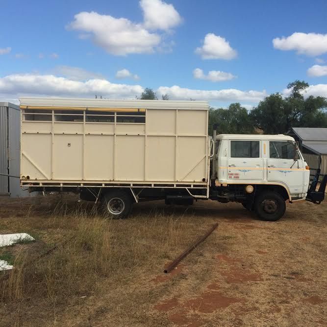 1983 Isuzu Dual Cab 5 Horse Truck Transport for sale NSW 