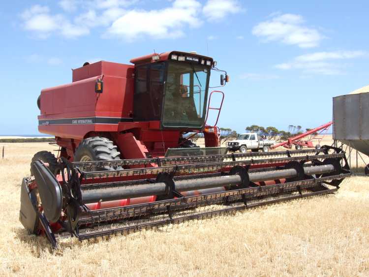 Farm Machinery for sale SA Case 1644 Header