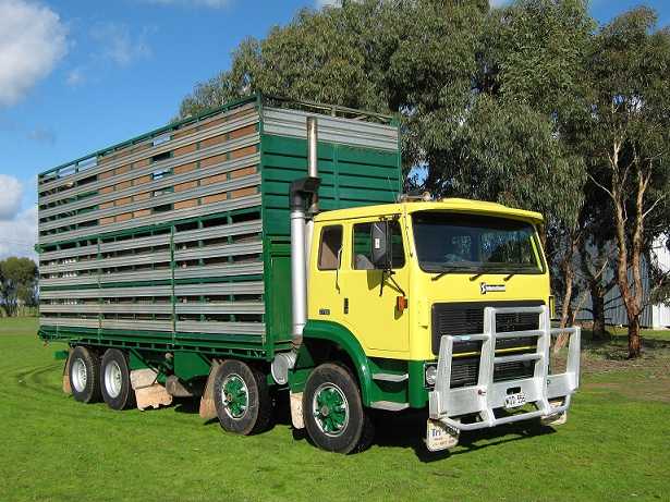 International 2700 Tipper Truck and Stock Crate for sale SA
