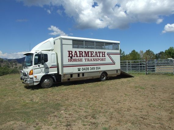 2008 Hino Truck FD 1024 500 Series 6 Horse Transport for sale NSW