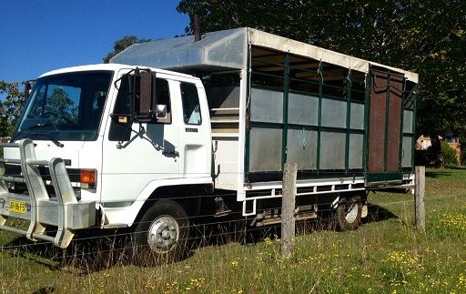 6 Horse / Cattle Crate Isuzu FSR500 Truck for sale NSW