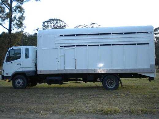 Horse Transport for sale QLD Fuso Fighter Horse Truck