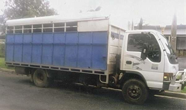 Horse Transport for sale Vic Isuzu 5 Horse Truck 